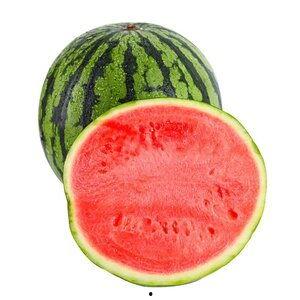 黑料正能量 热门大瓜,揭秘热门大瓜背后的真相与启示