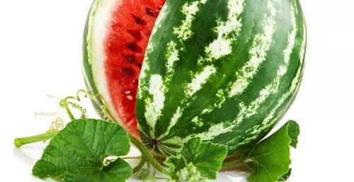 黑料正能量 热门大瓜,揭秘热门大瓜背后的真相与启示